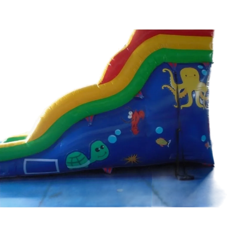 Bounce Horizon 16ft Dolphin Sea Inflatable Water Slide with Pool