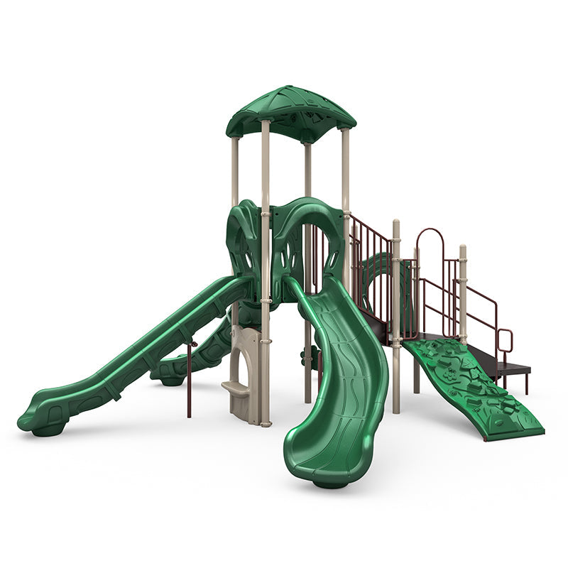 Wisdom Mount Rainier Playground